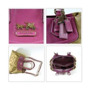 ��2010ǯ�ե�ǥ��COACH�ʥ������� �Хå� �ޥǥ����� ���� ������ ����꡼������ �������ԥ�/������ 14578