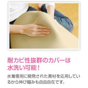 ŷ�Ȥε��� ���Ĥ����ܥǥ��ԥ���(������) ���󥤥�����