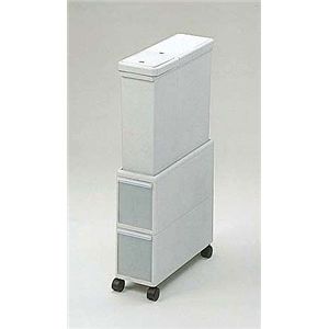 ���˥��꡼��Ǽ �������� ��������ե���