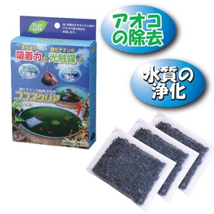 ���������ꥢ