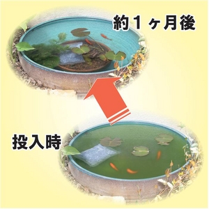 ���������ꥢ