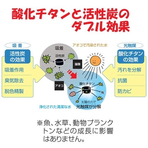 ���������ꥢ