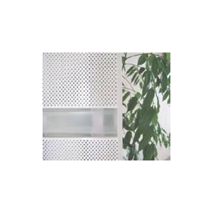 ¿��ǽ�ܱ��������󥷥㥤�󥦥����롡W-04���ۥ磻��