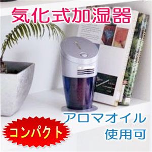 ����ѥ��ȵ������ü��� �䤹�餮����